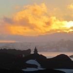 Antarctica 023