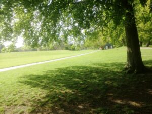 IMG_2743