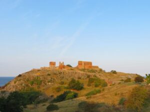 tn_IMG_0551