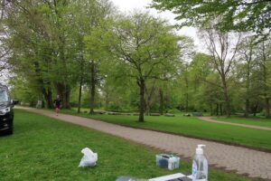 tn_IMG_1029